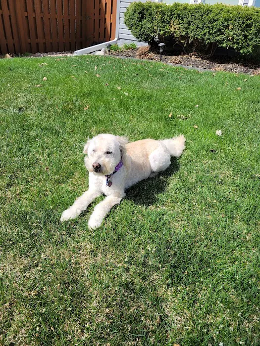 Millard West Veterinary Clinic Picture 1