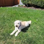 Millard West Veterinary Clinic