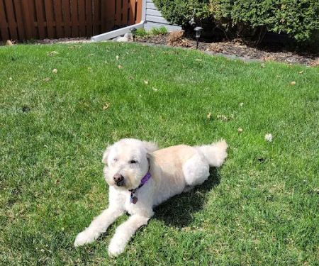 Millard West Veterinary Clinic