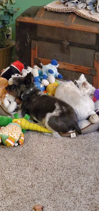 Millard West Veterinary Clinic Picture 3