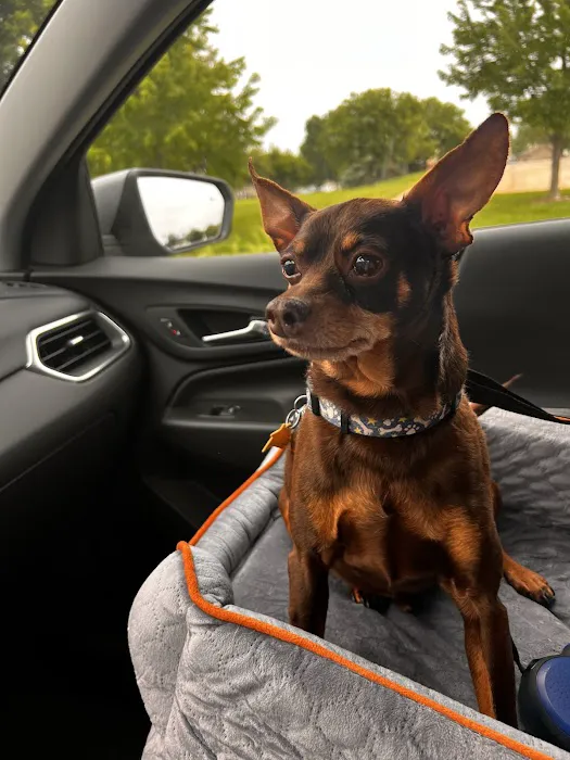 Banfield Pet Hospital Picture 1