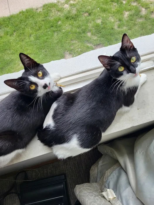 Banfield Pet Hospital Picture 2