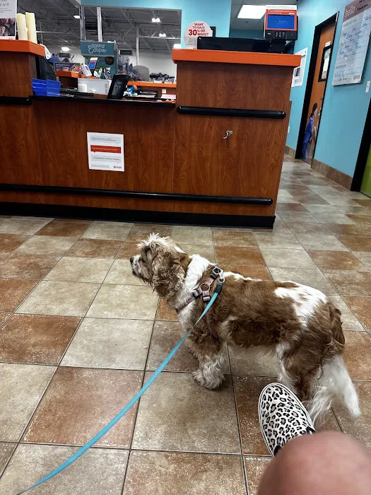 Banfield Pet Hospital Picture 3