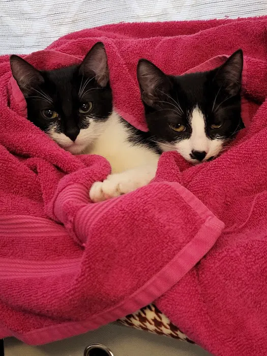 Banfield Pet Hospital Picture 4