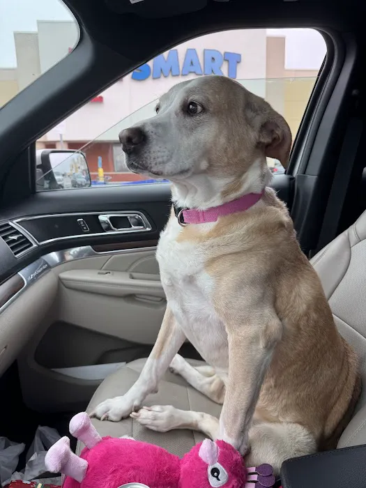 Banfield Pet Hospital Picture 5