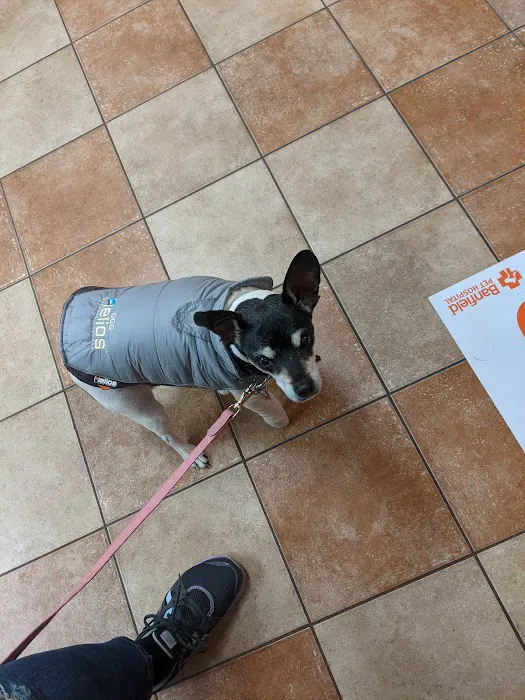 Banfield Pet Hospital Picture 7