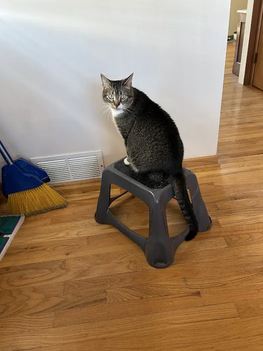 Banfield Pet Hospital Picture 8