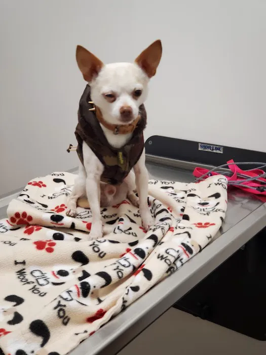 Urgent Pet Care West Picture 2