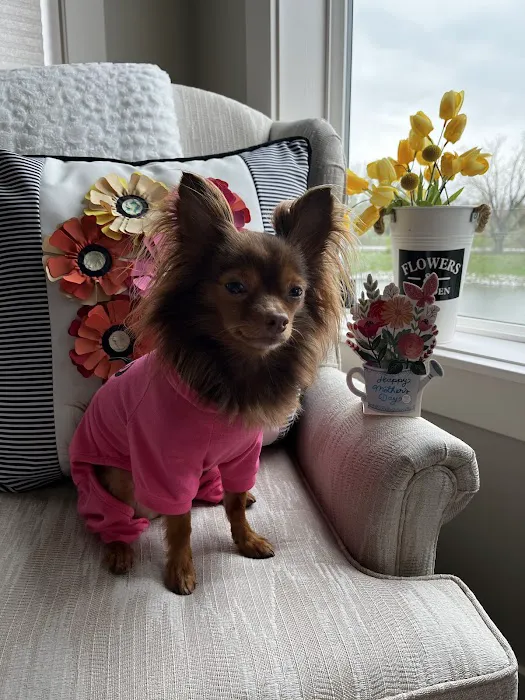 Urgent Pet Care West Picture 3