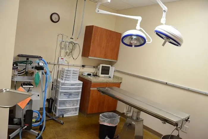 Urgent Pet Care West Picture 10