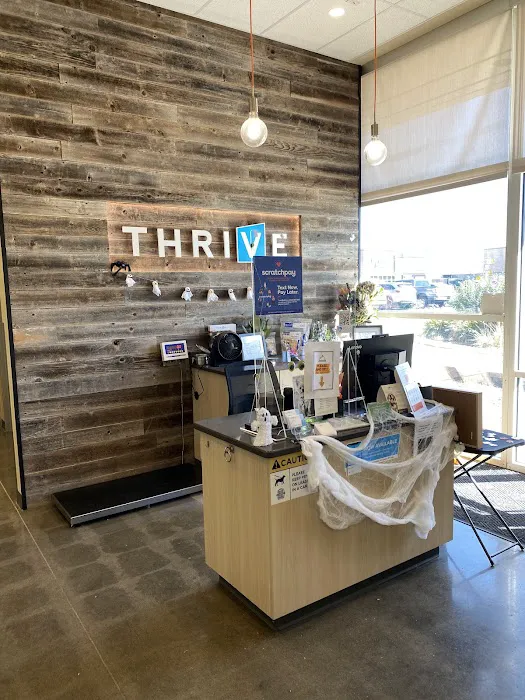 Vetco Total Care Animal Hospital Picture 4