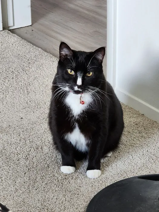 Vetco Total Care Animal Hospital Picture 2