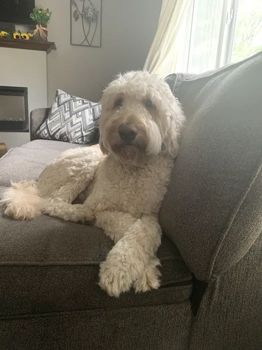 Vetco Total Care Animal Hospital Picture 3