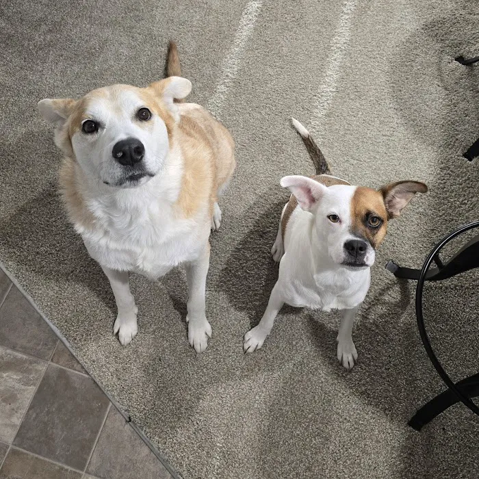 Vetco Total Care Animal Hospital Picture 6