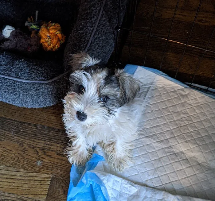 Vetco Total Care Animal Hospital Picture 9