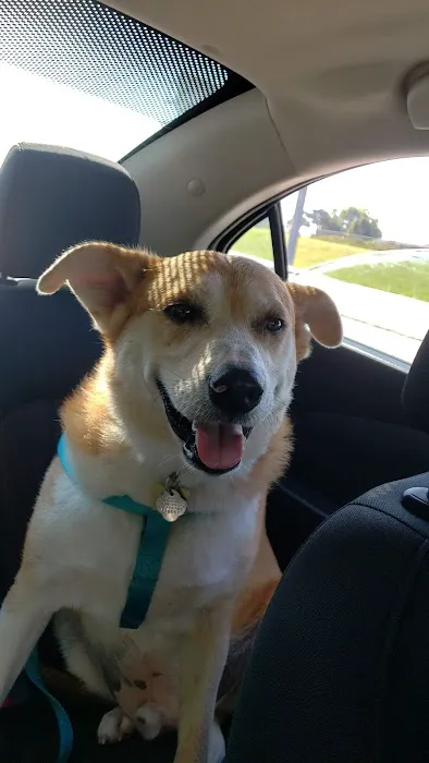 Vetco Total Care Animal Hospital Picture 8