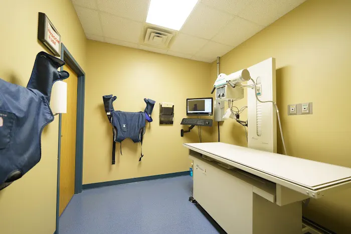 Cottner Creek Pet Clinic Picture 2