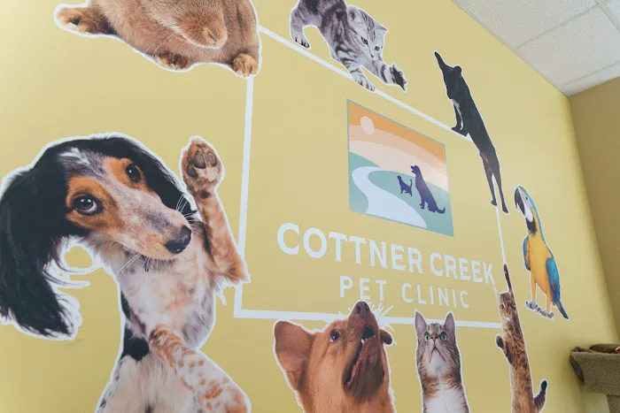 Cottner Creek Pet Clinic Picture 3