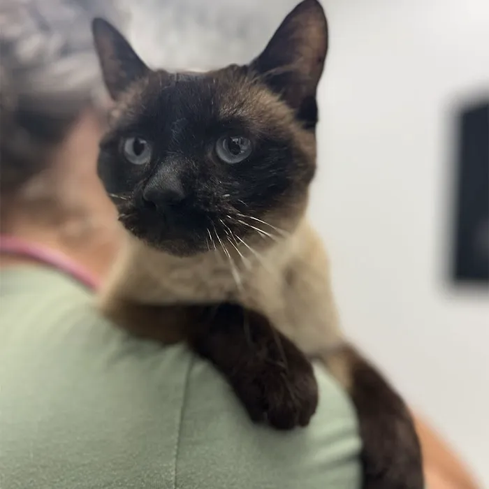 Omaha Vets Group Picture 2