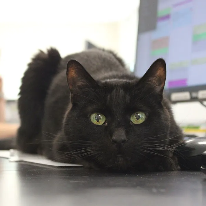 Omaha Vets Group Picture 1