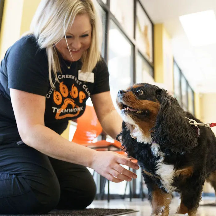 Omaha Vets Group Picture 5