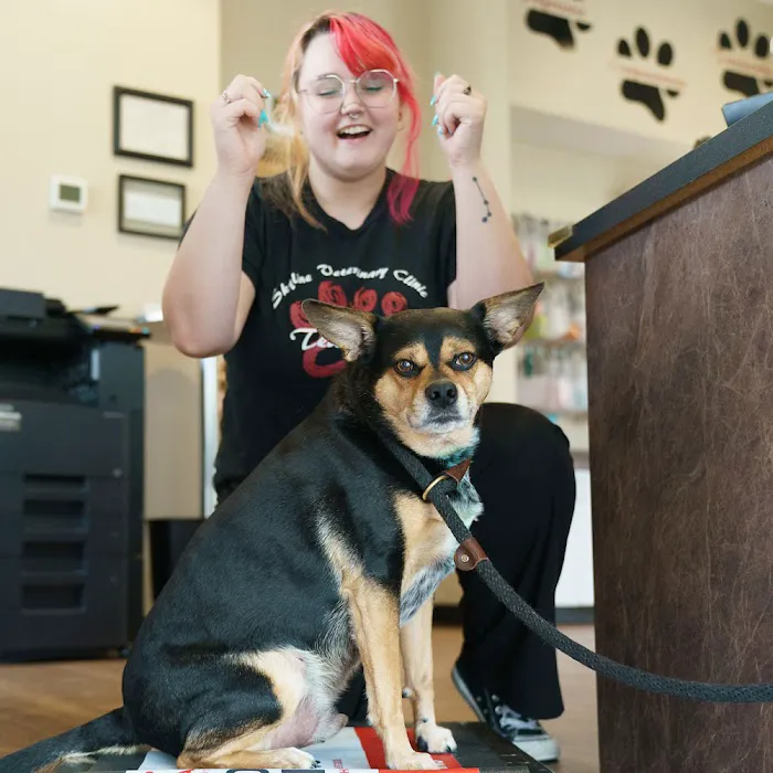 Omaha Vets Group Picture 6