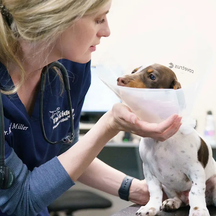 Omaha Vets Group Picture 9