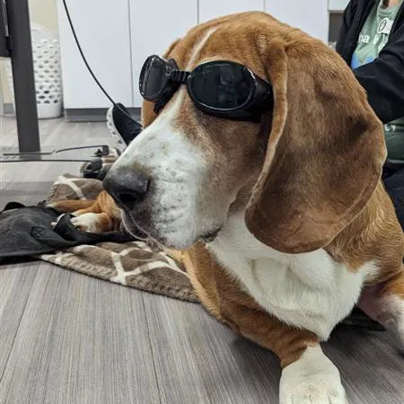 Omaha Vets Group Picture 7