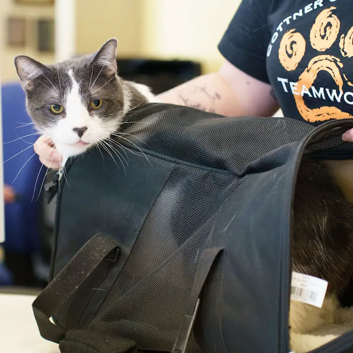 Omaha Vets Group Picture 8