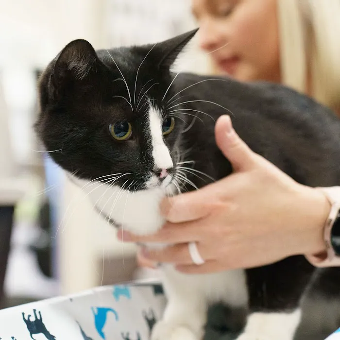 Omaha Vets Group Picture 10