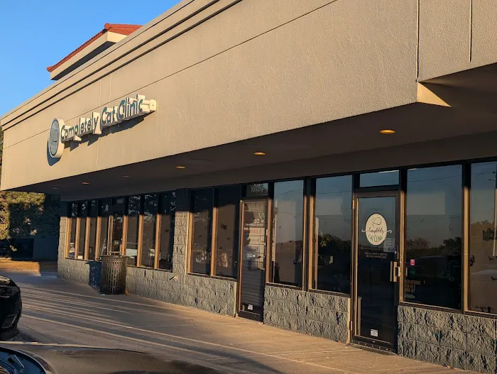 Completely Cat Clinic Picture 4