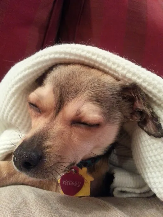 Prairie View Animal Hospital Picture 2