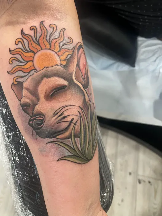 Prairie View Animal Hospital Picture 1