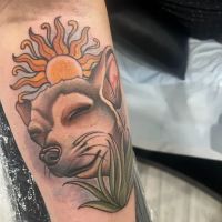 Prairie View Animal Hospital ico