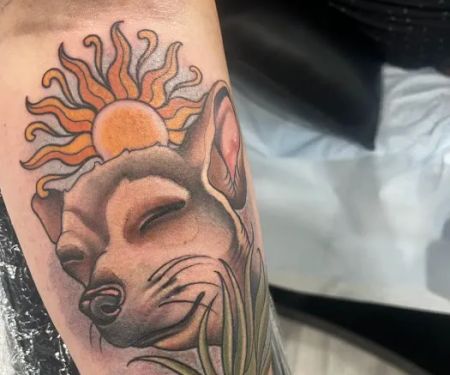 Prairie View Animal Hospital