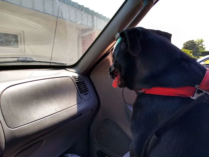 Green Acre Animal Clinic Picture 1