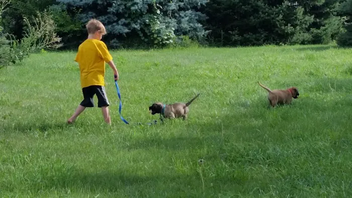 Green Acre Animal Clinic Picture 4