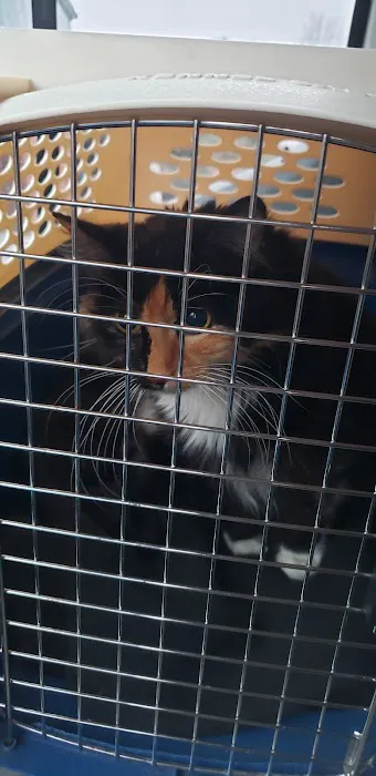 Green Acre Animal Clinic Picture 8