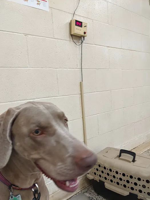 Green Acre Animal Clinic Picture 10