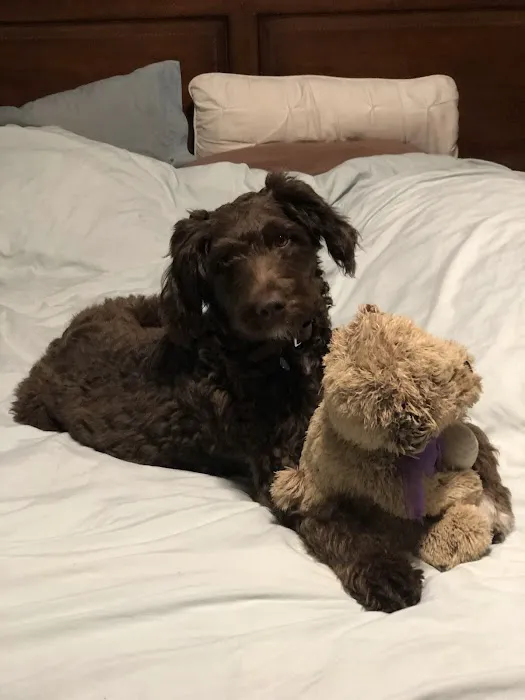 Mission Village Animal Clinic Picture 1