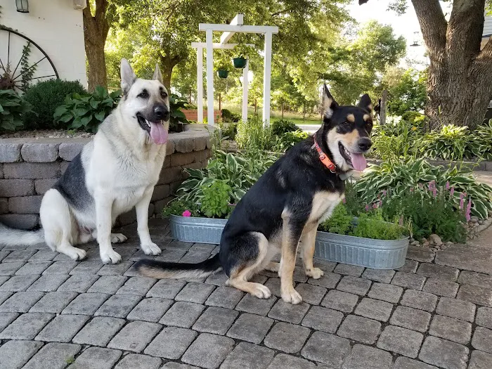 Mission Village Animal Clinic Picture 2