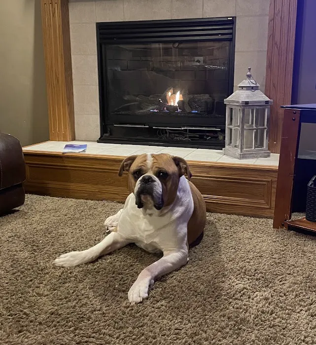 Mission Village Animal Clinic Picture 4