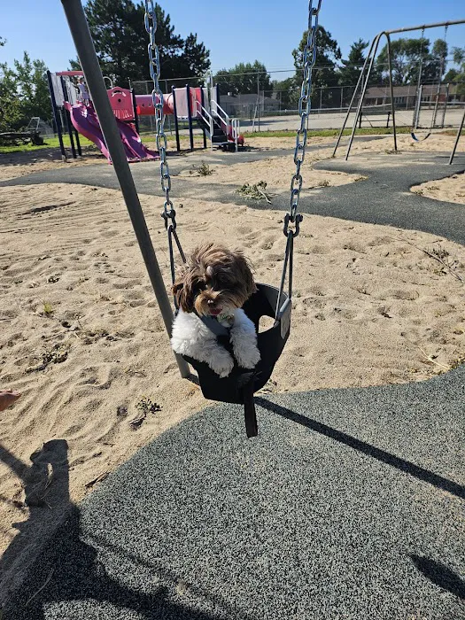 Mission Village Animal Clinic Picture 3