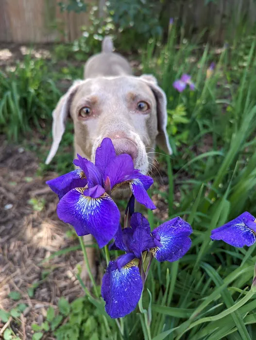 Mission Village Animal Clinic Picture 8