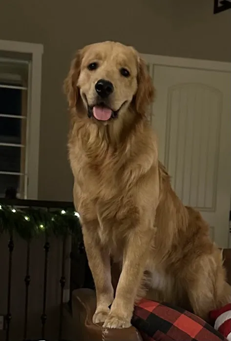 Mission Village Animal Clinic Picture 5