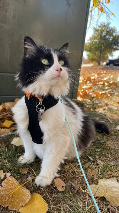 Goodrich Veterinary Clinic Picture 2