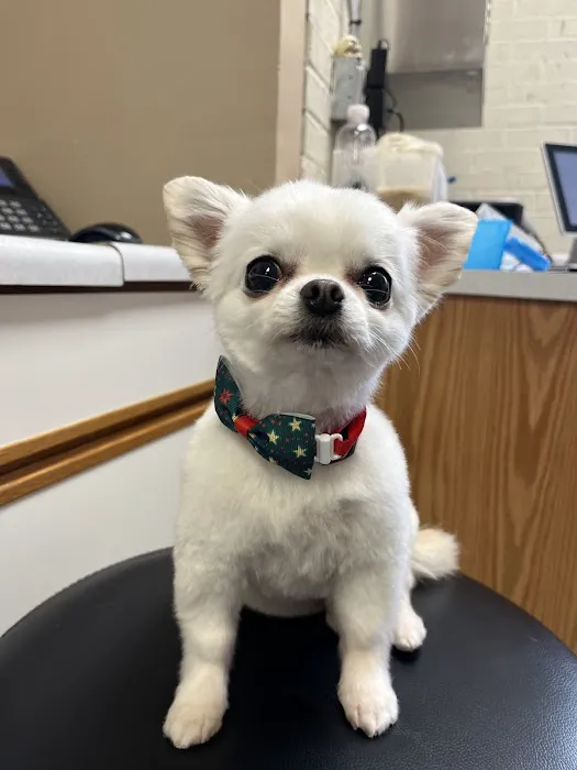 Goodrich Veterinary Clinic Picture 1