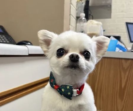 Goodrich Veterinary Clinic