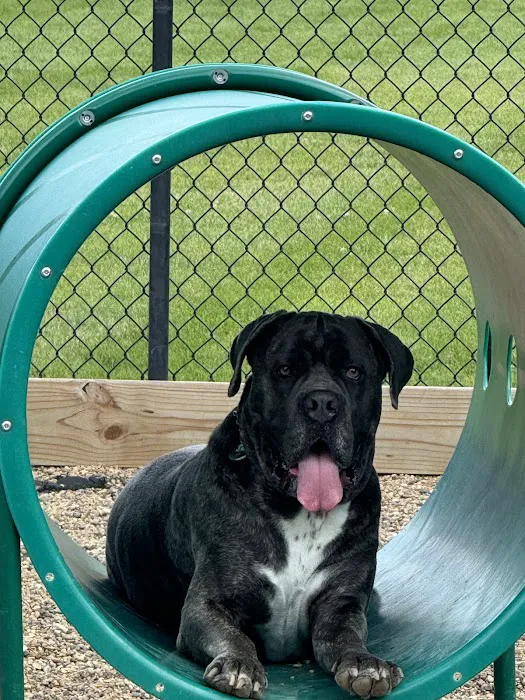 Goodrich Veterinary Clinic Picture 3