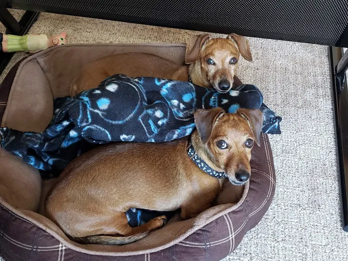 Goodrich Veterinary Clinic Picture 7